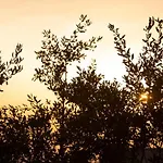 Terrazze Sulla Valle 3*