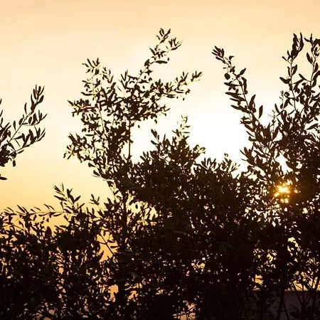 Terrazze Sulla Valle 3*