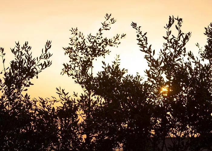 Terrazze Sulla Valle 3*